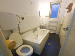 Obor, Colentina, Teiul Doamnei