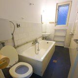 Obor, Colentina, Teiul Doamnei